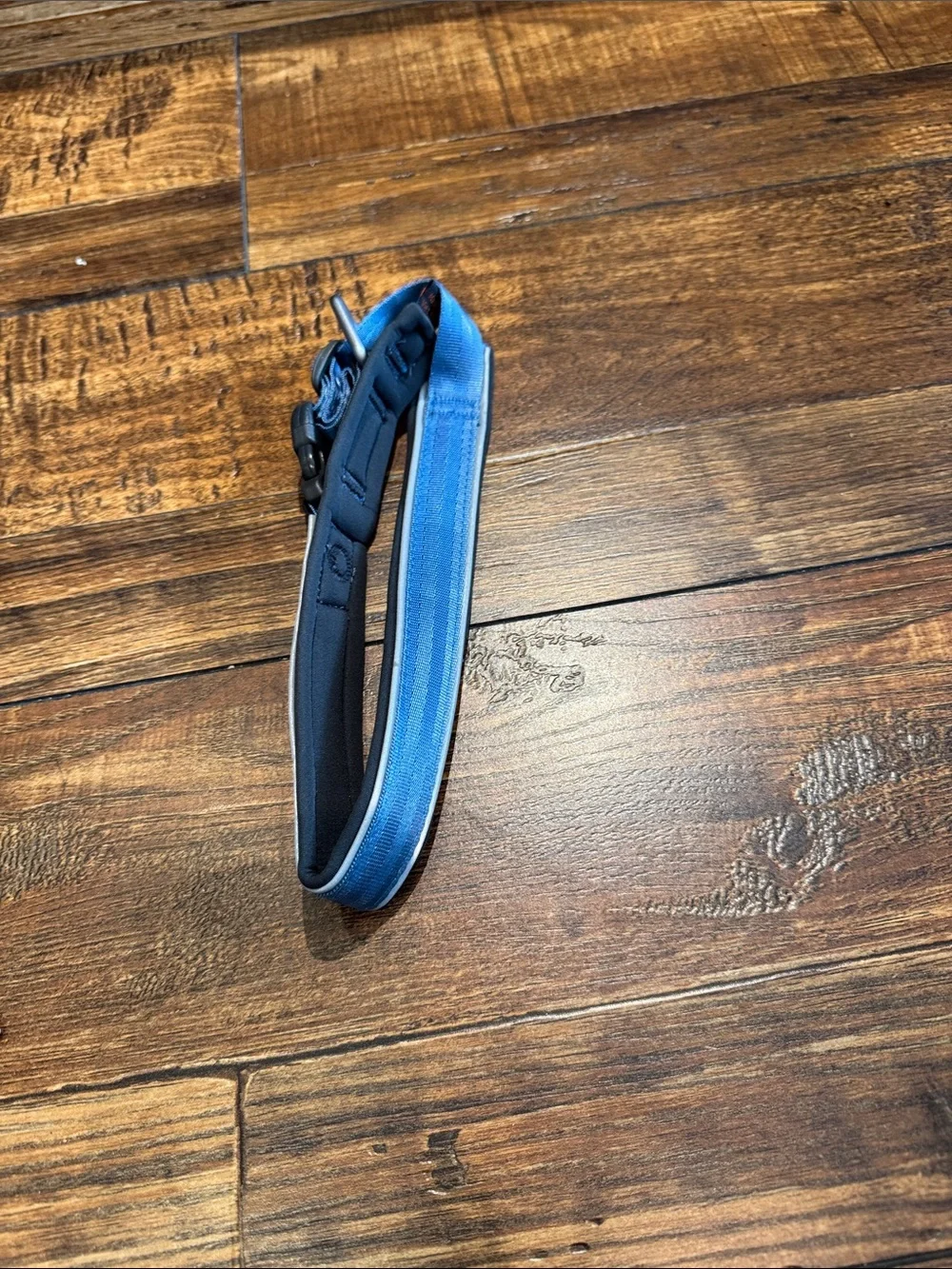 Non-stop Dogwear Roam collar/ blue